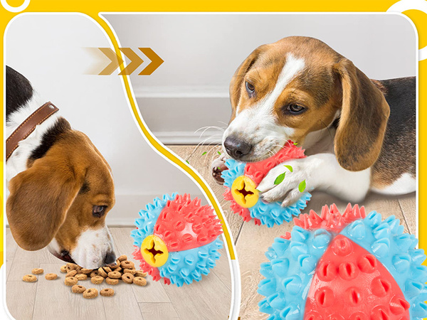 Balle gâterie jouet à mâcher pour chien nourriture
