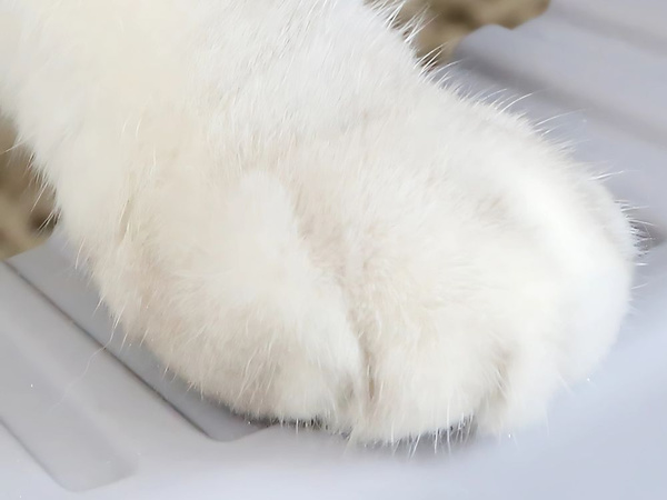 AVATUD PESAKAST, SUUR TAHKE, LABIDA JA KÕRGE ÄÄREGA PESAKAST