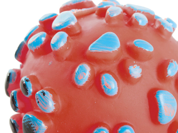 Nyikorgó kutyajáték gumilabda gumiszínekben