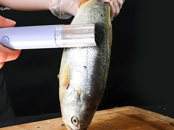 Raspador eléctrico raspador escama de pescado rallador
