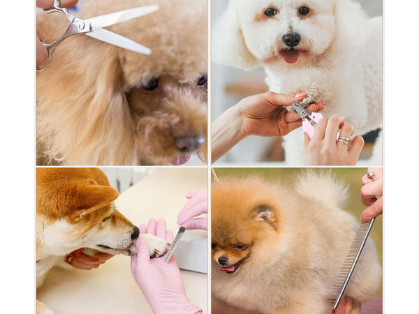 Set profesional de mașini de tuns fără fir pentru câini și animale de companie