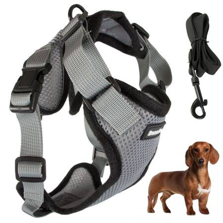 Suspender without pressure walking harness for small dog handle light soft strong m