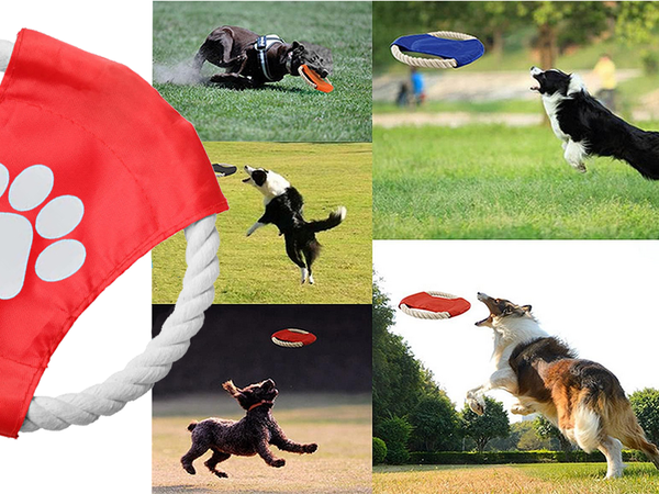 Kutya játék rágó rángatózás kötél frisbee korong