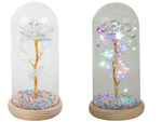 Rosa eterna en caja de cristal luminosa led regalo dia de la mujer