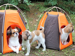 Cama de perro plegable impermeable casa de perro corralito portátil