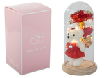 Everlasting rose in glass led luminous glass box women's day gift