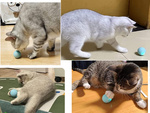 Juguete para gato perro bola de escape led vibración eléctrica usb bola