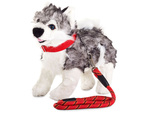 Dog lanyard 120cm/1.3cm collar fuerte