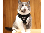 Suspender without pressure for dog cat rabbit soft strong reflector m