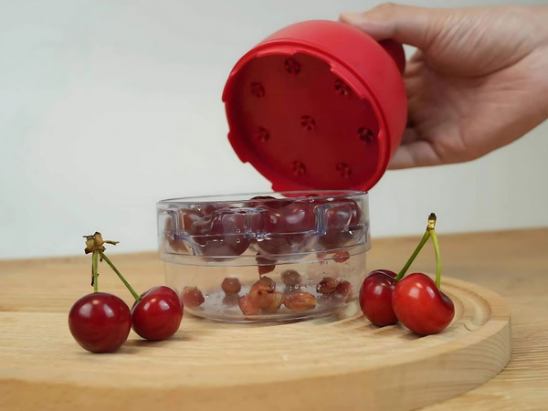 Dénoyauteur pour cerises, cerises noires et olives avec récipient, presse-noyaux manuel
