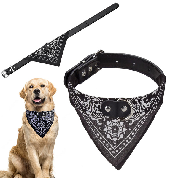 Koera kaelarihm koos bandannaga koerale kassile l
