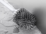 Brosse de toilette en silicone pour la salle de bain base complète étanche