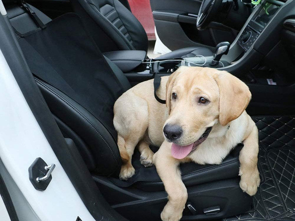 Car seat mat for dog waterproof folding cover