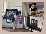 Puerta para perros puerta para gatos entrada