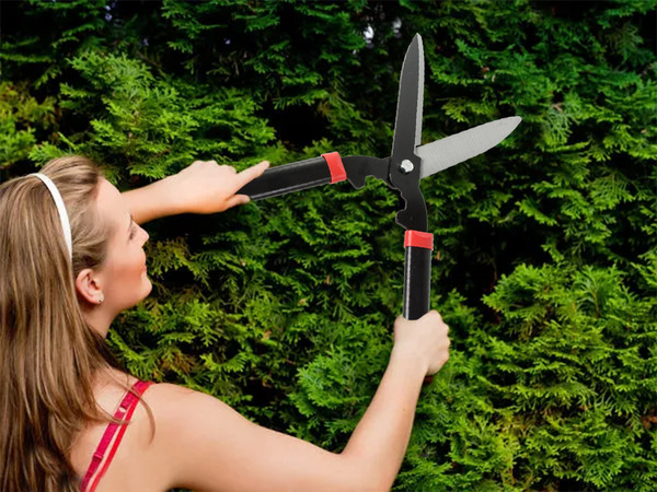 Garden hand shears for shrub hedges grass plant shears