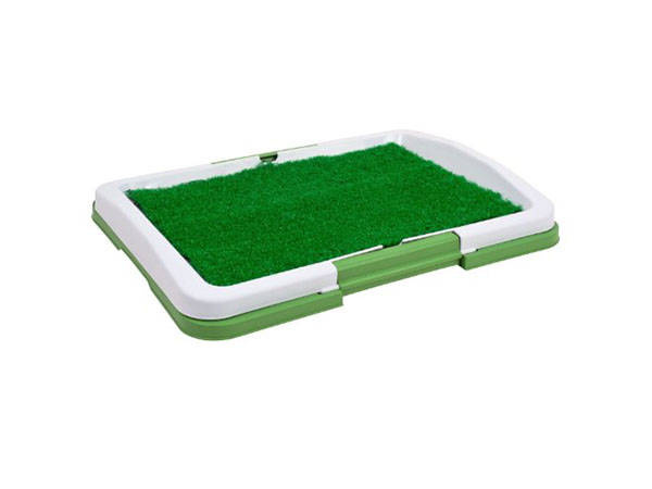 Štěně pes tráva stelivo zásobník učení mat