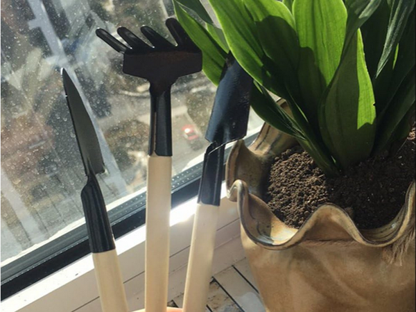 Aiatööriistade komplekt hara labidas 3in1 mini potting tööriistad
