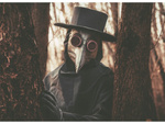 Cuervo pájaro plaga máscara médico látex halloween