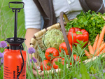 Pressure sprayer garden hand sprayer long lance 8l belt