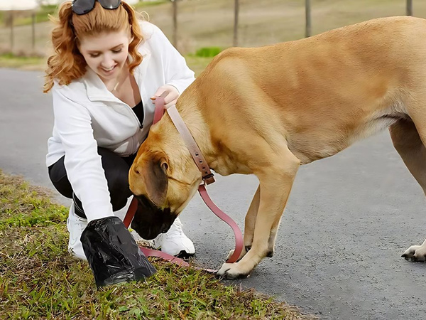Perro caca bolsas 50 rollos fuerte perro + dispensador