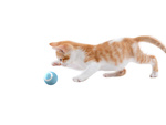 Juguete para gato perro bola de escape led vibración eléctrica usb bola