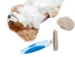 Recortadora peine cepillo pelo de perro grande pelo de gato