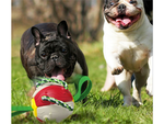 Juguete para perro frisbee pelota disco volador juguete masticable