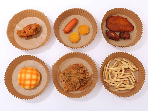 Papierkartuschen für den fettfreien küstenluftwärmer 50 st.