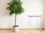 Mesa de centro redonda plegable de metal con bandeja para balcón terraza loft blanco