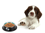 Metal dog bowl anti-slip gum 150 мл