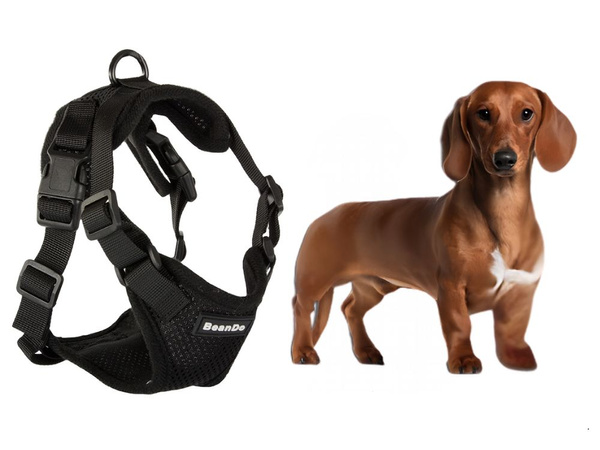 Pakaba be spaudimo vaikščiojimo diržai mažiems šunims rankena lengva minkšta stipri m