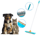 Brush to pick up dog hair removal from carpet carding