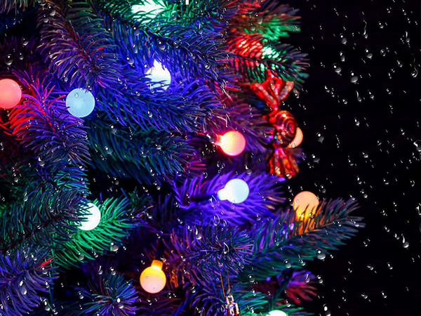 Solarne vrtne girlande luči 40 vodijo večbarvno