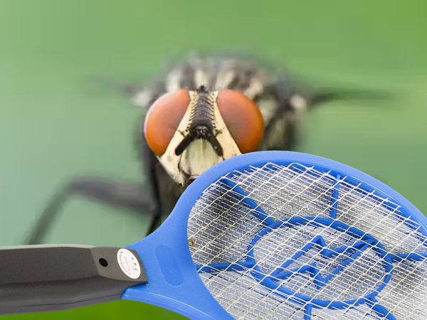 Attrape-mouches électrique pochette à pattes moustiques mites mouches