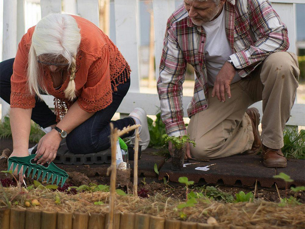 Käepärane 12-auguline aiakülviku istutuspott