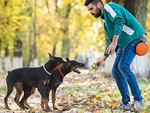 Silikon-faltschüssel für hund katze reisen reiseleicht 800ml