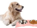 Metal doughters for dogs and cats 2pc set 0.4 l