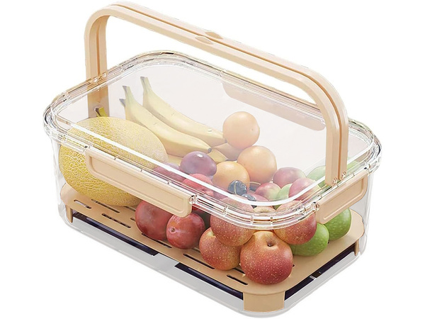 Food containers for storage at low temperatures cooling insert