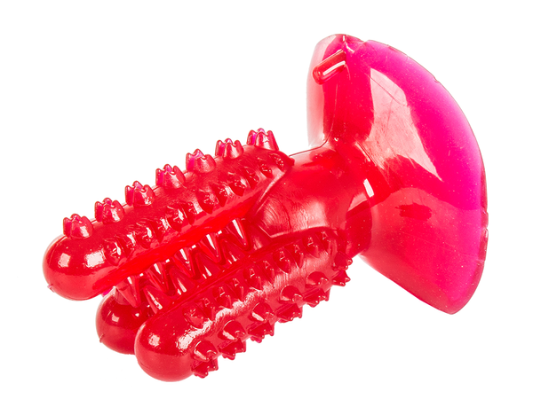 Zobna ščetka za žvečenje psov kaktus za pse