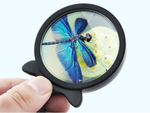 Folding magnifying glass pocket mini case lanyard