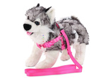 Leash with harness dog cat rabbit p1.5