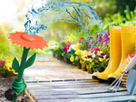 Regadera de jardín girasol regadera de jardín