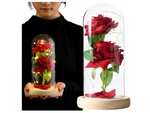 Everlasting rose in glass red led gift luminous for an occasion for women
