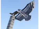 Aitvaras "bird eagle" 2 m paukščių atbaidymo priemonė su virvele