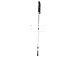 Nordic walking poles trekking pole