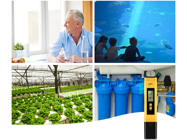 Electronic ph meter water tester calibration