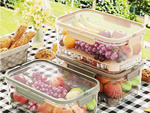 Food containers for storage at low temperatures cooling insert