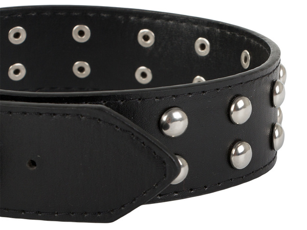 Studded dog collar eco leather adjustable l