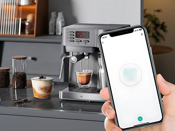 Prise double intelligente wifi smart timer 16a app