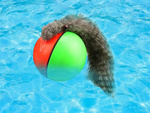 Furet balle de course jouet chat fugueur